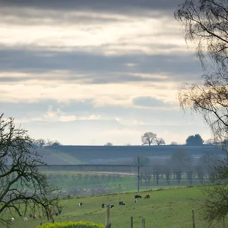 Tiny House Im Schwarzwald-natur, Ruhe & Erholung *